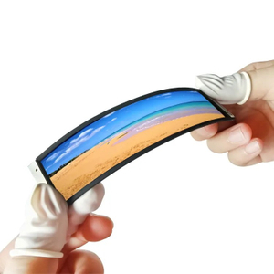 4 Inch OLED Screen for Wearable Devices