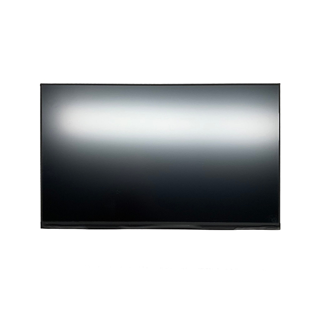 M&oacute;dulo LCD de 11,6 pulgadas para tableta